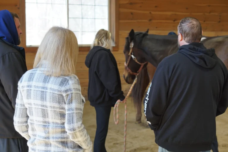 Group meeting the horses inside the arena at Nashoba Springs equine therapy