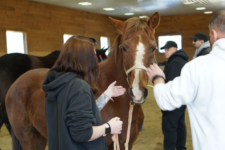 Two people greeting a chestnut horse during Nashoba Springs equine therapy