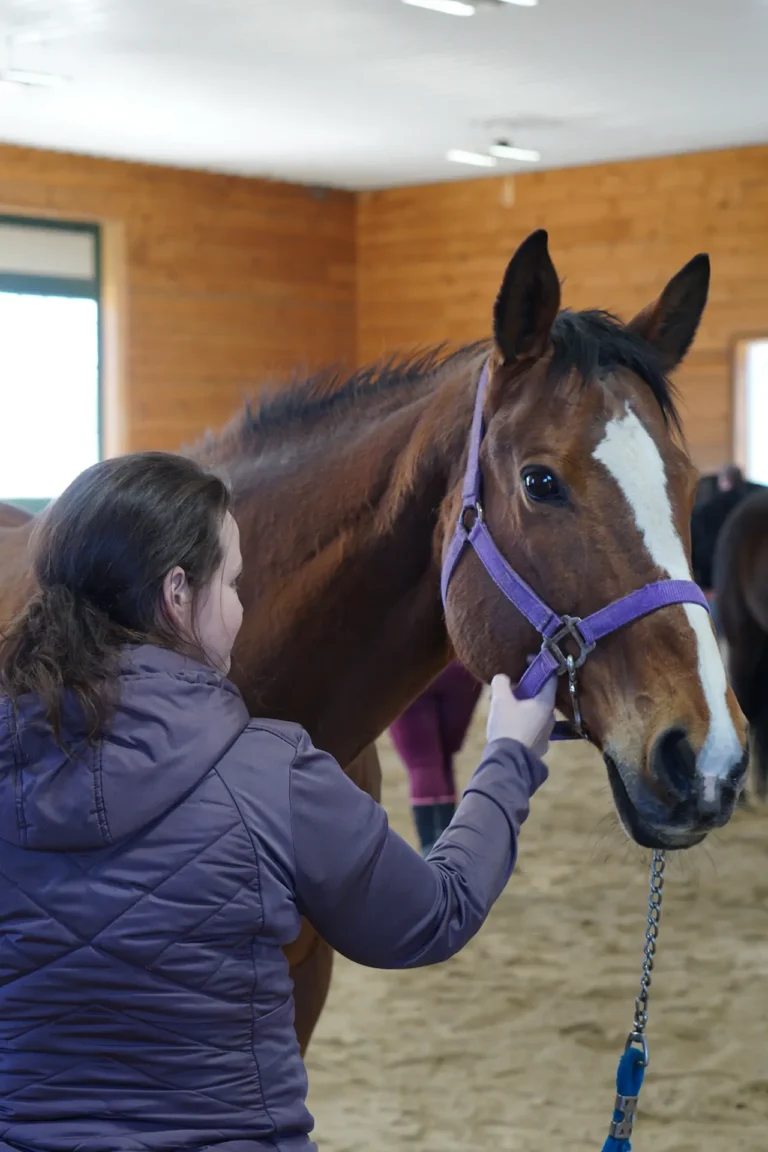 Woman stroking a bay horse's face during Nashoba Springs equine therapy