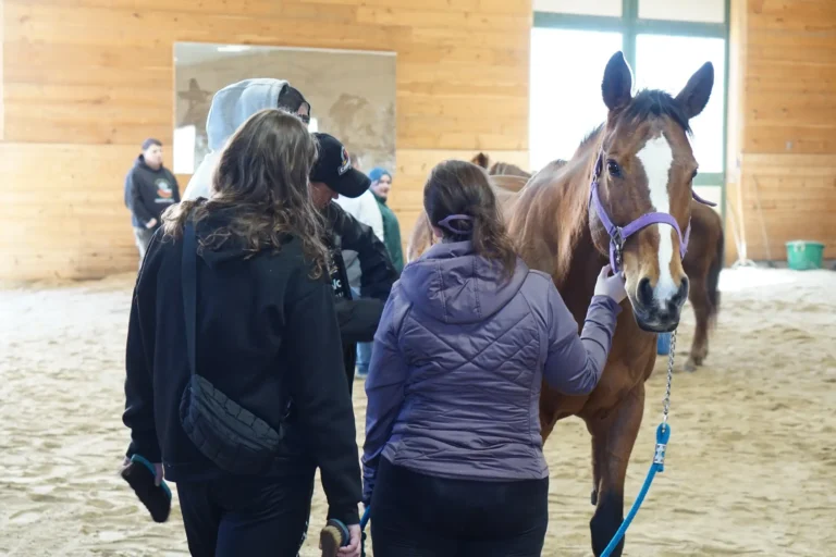 Two women approaching a horse in the arena at Nashoba Springs equine therapy