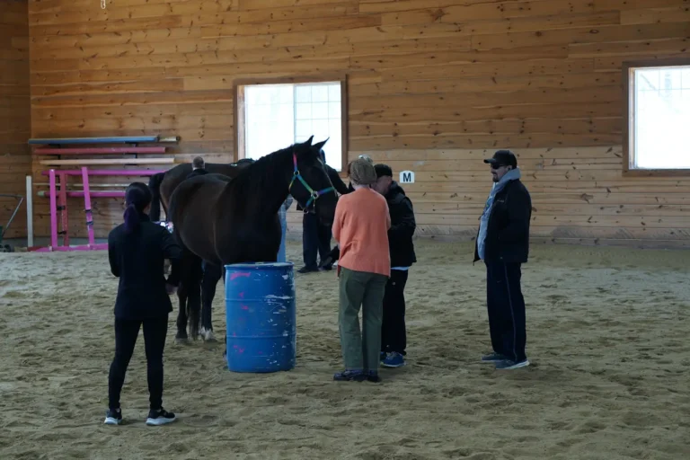 Group working with a horse near the barrels at Nashoba Springs equine therapy