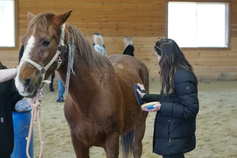Woman brushing a chestnut horse during Nashoba Springs equine therapy