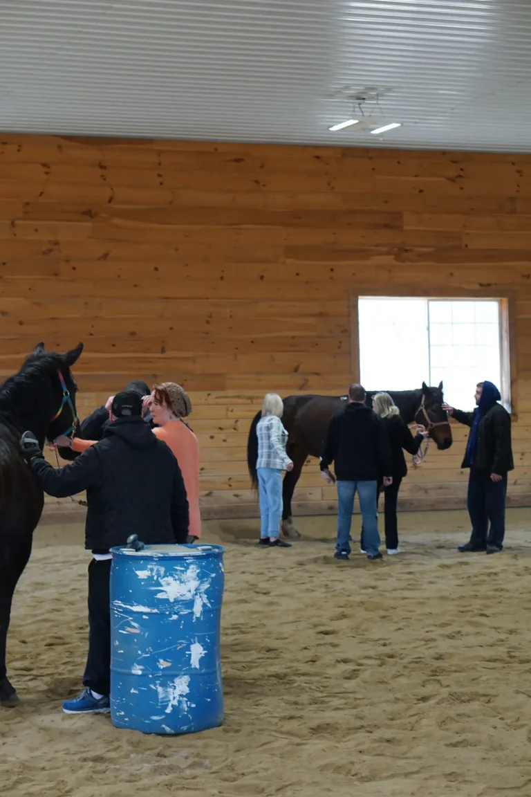 Small groups with horses across the indoor arena at Nashoba Springs equine therapy
