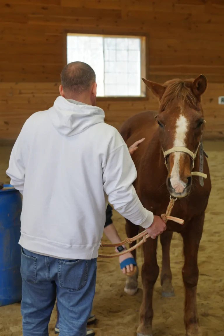 Man leading a chestnut horse at Nashoba Springs equine therapy