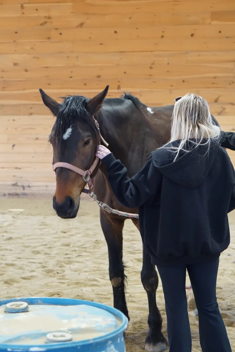Woman standing with a dark horse beside a barrel at Nashoba Springs equine therapy