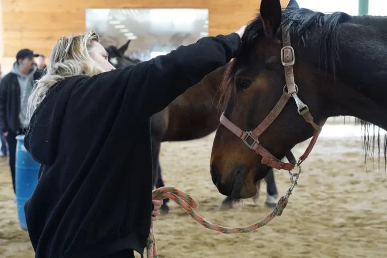 Person resting a hand on a horse's neck during Nashoba Springs equine therapy