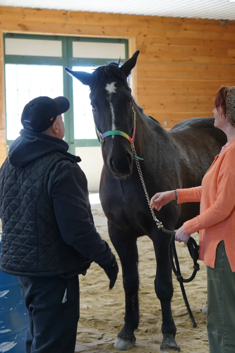 Two people with a black horse in the arena at Nashoba Springs equine therapy