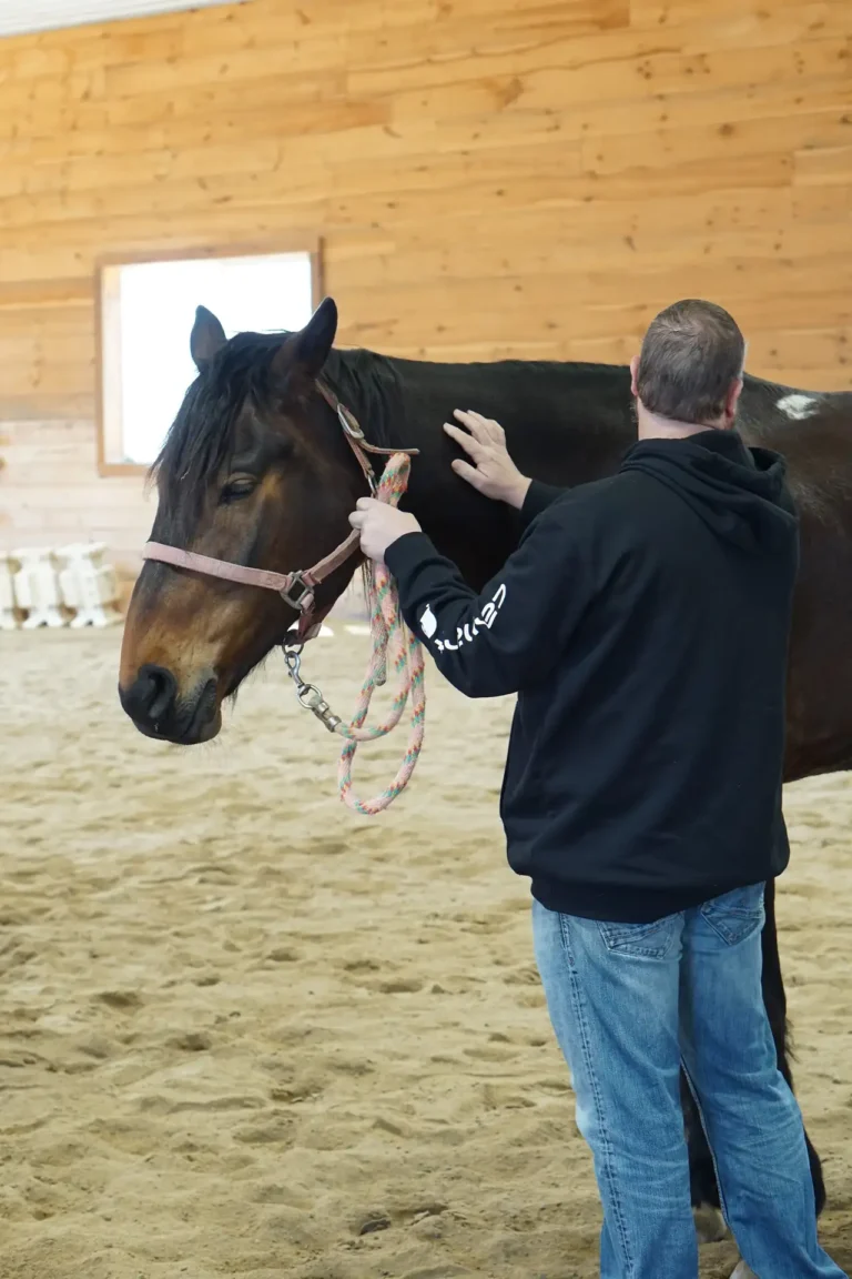 Man petting a bay horse at Nashoba Springs equine therapy