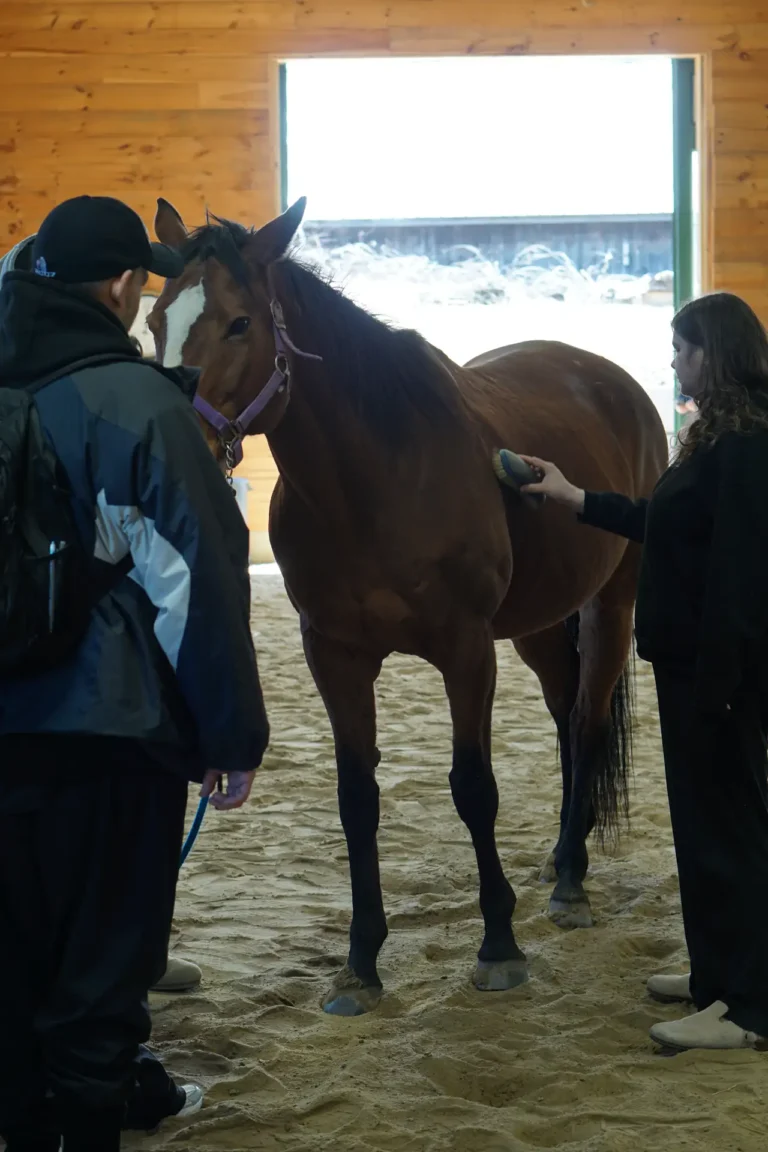 Two people standing with a horse near the arena window at Nashoba Springs equine therapy