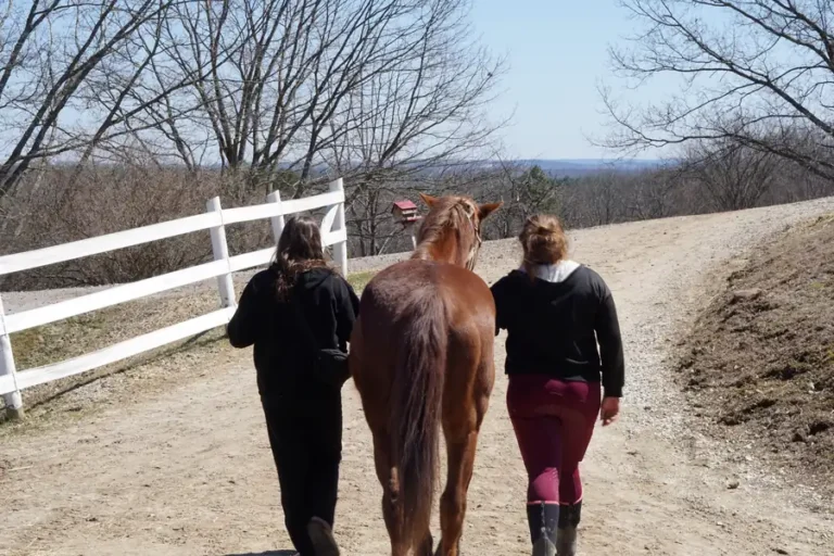 Two women walking a chestnut horse down a farm path at Nashoba Springs equine therapy