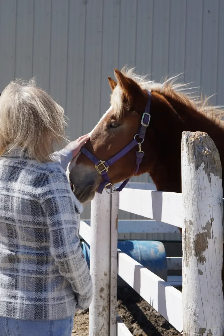 Woman greeting a horse over the fence at Nashoba Springs equine therapy